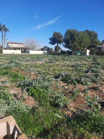 🏡 GRAN OPORTUNIDAD – TERRENO DE 2 TAULLAS (2.236 m2) photo 0