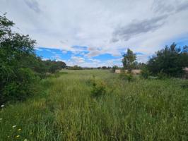 Parcela en venta en Valverde Bajo (Elche) – Suelo urbanizable con potencial residencial e inversión photo 0