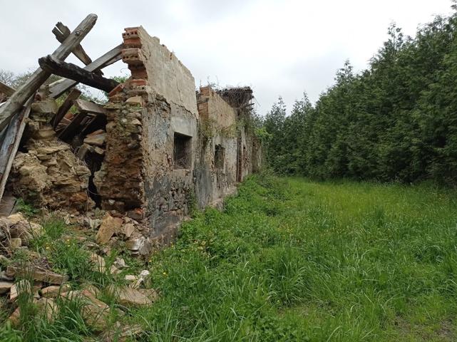 Caserío para reconstruir en Mungia photo 0