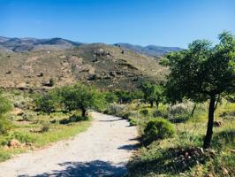 CORTIJO CON TERRENO EN VENTA EN FONDON photo 0