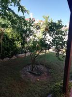 MAGNIFICO CHALET EN ZONA DE ALMERIGOLF photo 0