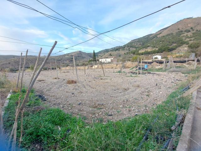 Finca rustica por la zona de castala en Berja photo 0