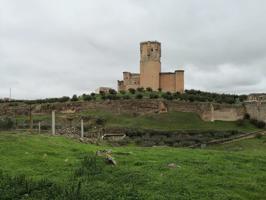 Casa De Campo En venta en Belalcazar, Belalcazar photo 0