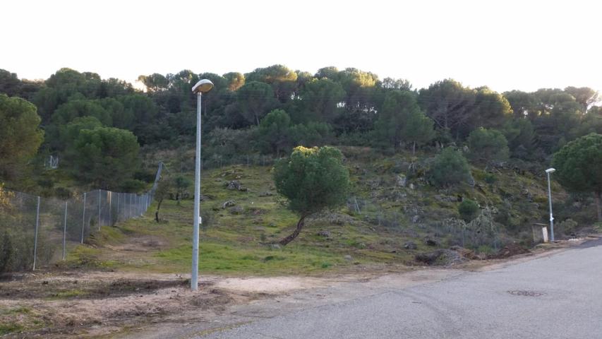 PARCELA URBANIZABLE EN LAS JARAS photo 0