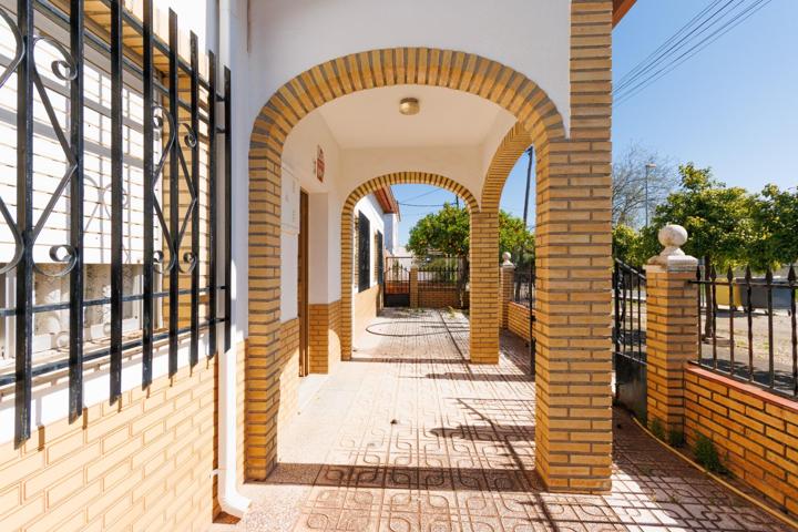 ESPECTACULAR PARCELA CON VIVIENDA EN UNA SOLA PLANTA EN LA CARLOTA CHICA. photo 0