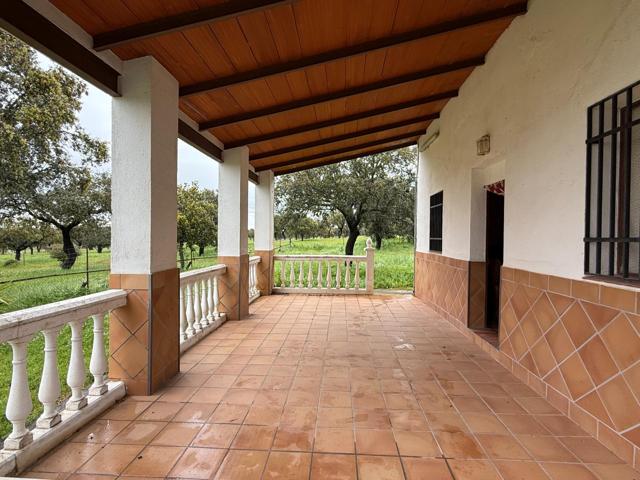 🌿 DEHESA EL ALFILEJO – ALCARACEJOS 🌿 photo 0