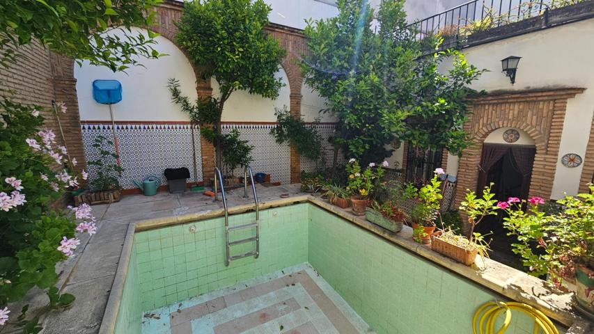 El alma de un patio cordobés photo 0