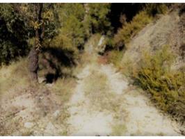 Finca rustica en venta en Penàguila photo 0
