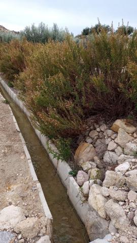 SE VENDE PARCELA RUSTICA EN ABANILLA photo 0