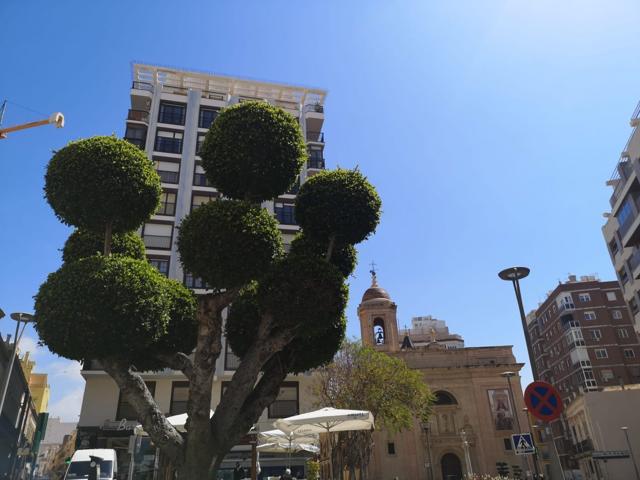 Oficina En venta en Puerta Purchena, Almeria photo 0
