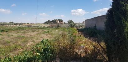Terreno 13.000 m2 Partida Deula. 82.000 Euros photo 0