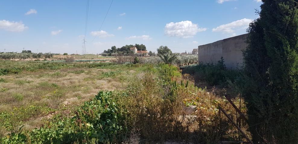 Terreno 13.000 m2 Partida Deula. 82.000 Euros photo 0