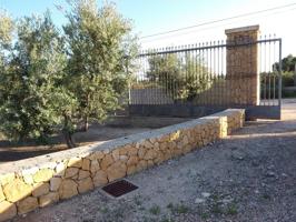 Preciosa parcela en Crevillente photo 0
