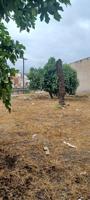 EXCELENTE VIVIENDA PARA REFORMAR EN ASPE photo 0