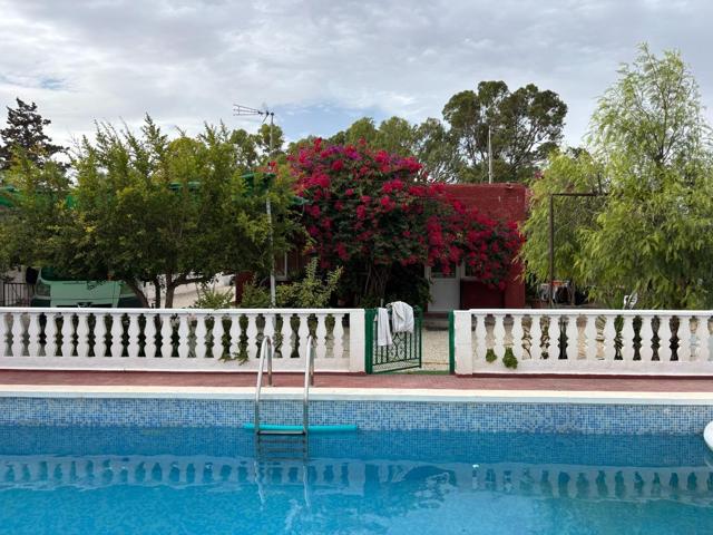 Oportunidad única: Casa de campo, con piscina y gran parcela en Elche photo 0