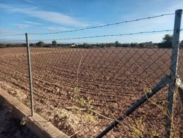 VENTA PARCELA AGRICOLA photo 0