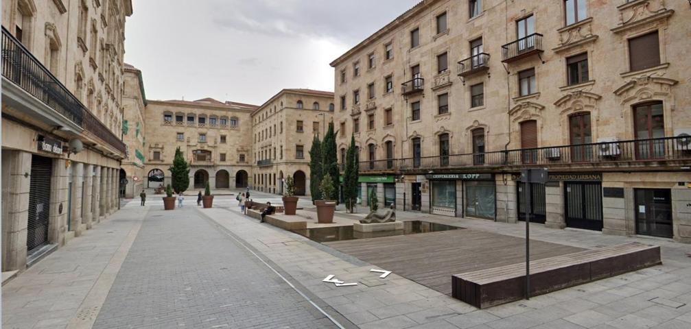 Exclusivo local en Plaza de la Constitución photo 0