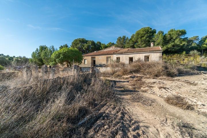 FINCA RUSTICA CON VIVIENDA PARA REHABILITAR EN PILAR DE LA HORADADA photo 0