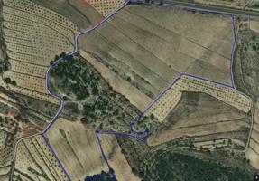 Terreno en venta en Monovar-Monover, RURAL photo 0