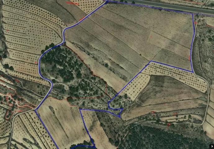 Terreno en venta en Monovar-Monover, RURAL photo 0