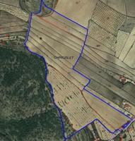 Terreno en venta en Monovar-Monover, RURAL photo 0