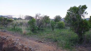 Terreno en venta en Ondara photo 0