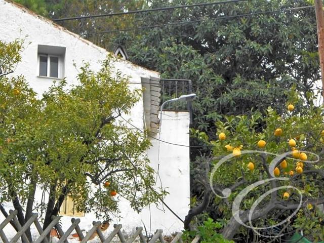 Casa con terreno en venta en Canillas de Aceituno, Canillas de Aceituno photo 0