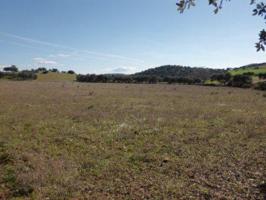 Terreno en venta en Fuente Obejuna photo 0