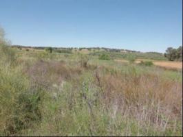Terreno en venta en Hinojosa del Duque photo 0