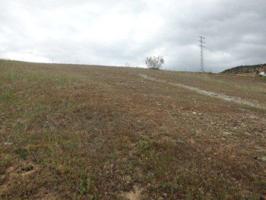 Terreno en venta en Espiel, El Pajarillo photo 0