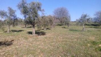 Terreno en venta en Valsequillo photo 0