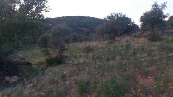 Terreno en venta en Villanueva del Duque photo 0