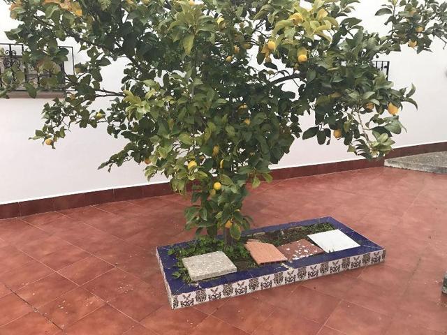 Chalet en venta en Fuente Obejuna photo 0