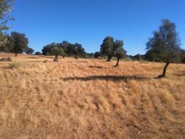 Terreno en venta en Valsequillo photo 0