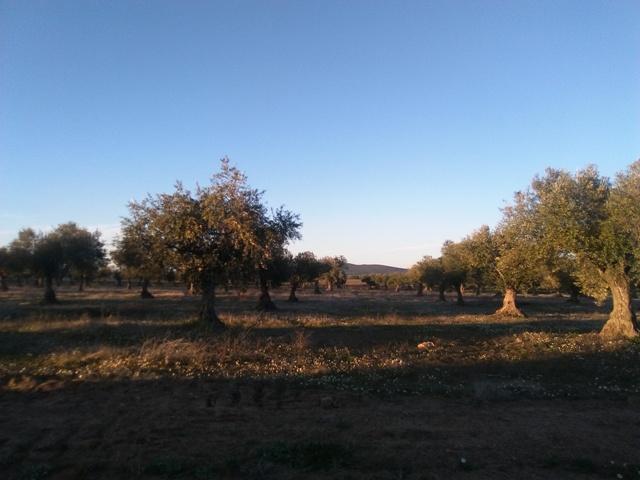 Terreno en venta en Valsequillo, Valsequillo, Valsequillo photo 0