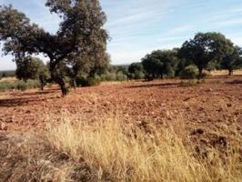 Terreno en venta en Villanueva del Duque photo 0