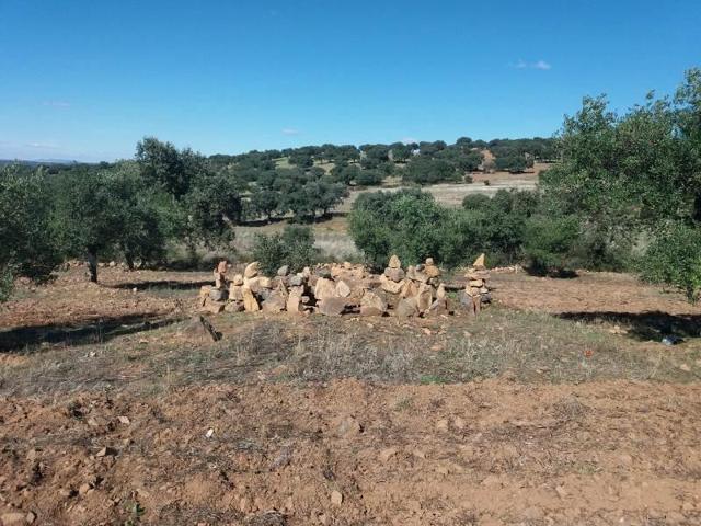 Terreno en venta en Fuente Obejuna photo 0