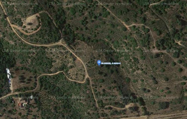 Terreno en venta en Guarromán, Zocueca photo 0