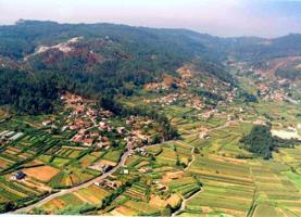 Terreno en venta en Salceda de Caselas photo 0