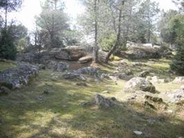 Terreno en venta en Cebreros, Valverde photo 0