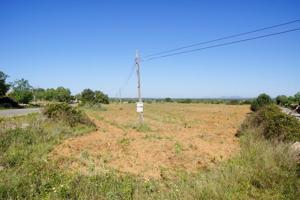 Terreno en venta en Santanyí photo 0