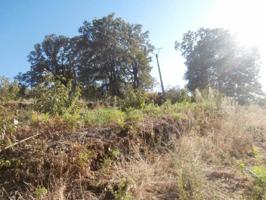 Terreno en venta en Valdastillas, Polígono, 10614 photo 0