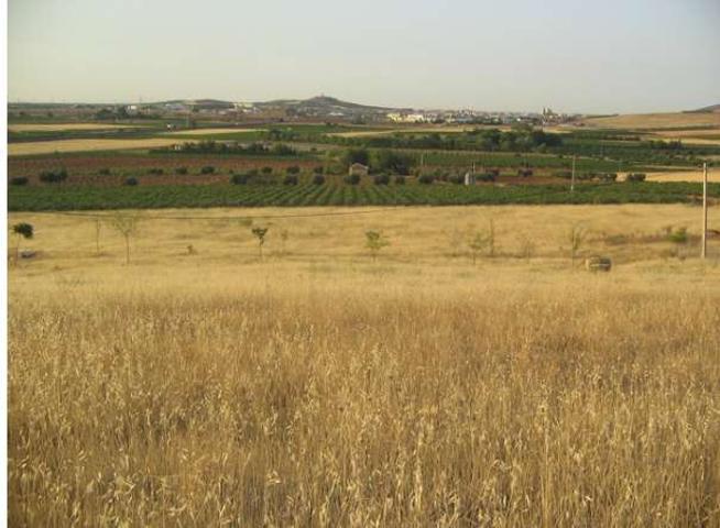 Terreno en venta en Valdepeñas, Avenida Del Sur photo 0