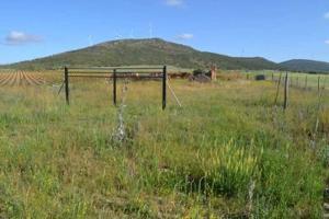 Terreno en venta en Valdepeñas, Carretera San Carlos Del Valle photo 0