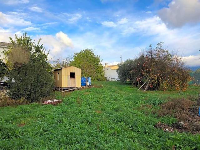 Chalet en venta en Lucena, CAMPO DE ARAS photo 0