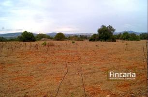 Terreno en venta en Manacor photo 0