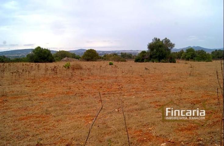 Terreno en venta en Manacor photo 0