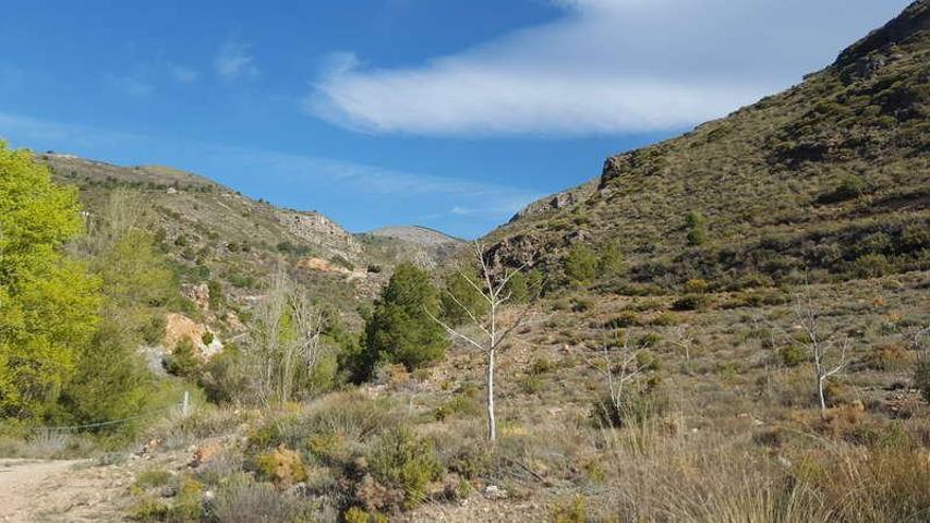 Terreno en venta en Almócita, Beires photo 0