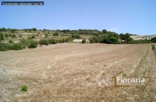 Terreno en venta en Manacor, Camí de sa Murtera, 07500 photo 0