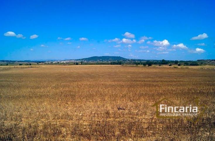 Terreno en venta en Vilafranca de Bonany photo 0